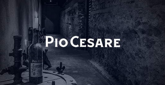 PIO CESARE'S TOP WINES