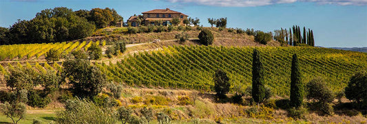 #12 TOP 100 Wine Spectator; Poggio Landi Brunello