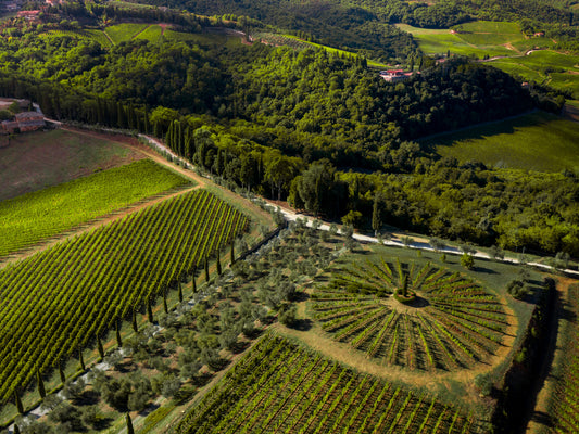 96 points Wine Spectator 2016 Podere Brizio Brunello release