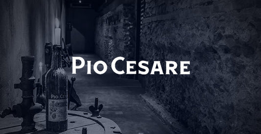 PIO CESARE'S TOP WINES