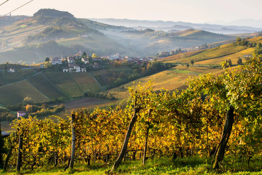 TOP SCORING NEBBIOLO PIO CESARE